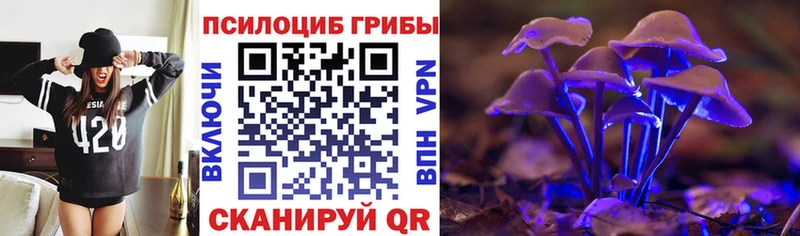 Псилоцибиновые грибы ЛСД  Буйнакск 